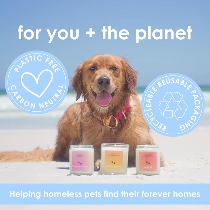 Sandy Paws | Pet Friendly Candle | Soy-Free Coconut Apricot Wax | Clean Burning | Non-Toxic | Veterinarian Approved | Pet Odor Eliminator | Air Freshening Scented Candle | 9 oz