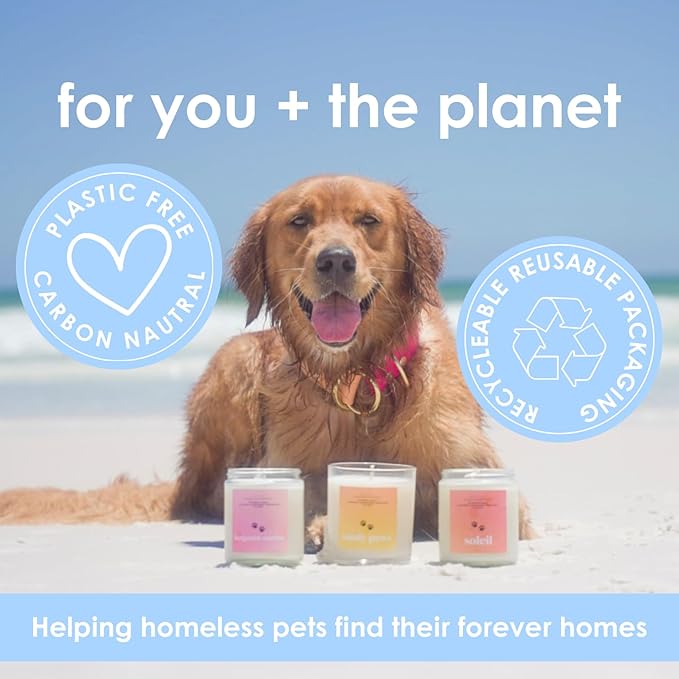 Fresh Linen | Mini Pet Friendly Candle | Soy-Free Coconut Apricot Wax | Clean Burning | Non-Toxic | Veterinarian Approved | Pet Odor Eliminator | Air Freshening Scented Candle | 4 oz