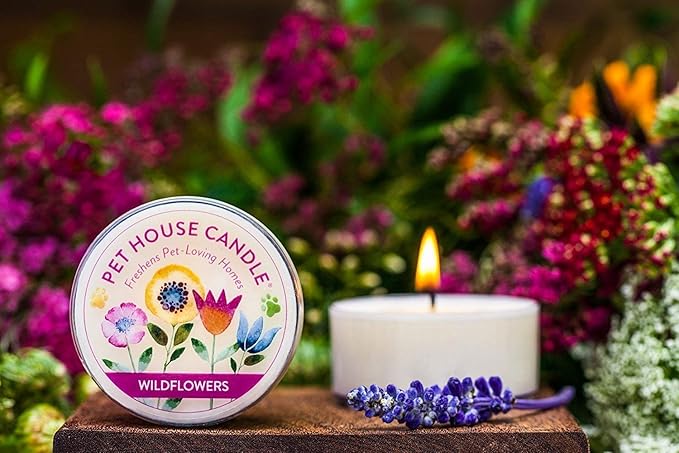 Pet House Mini Candles for Pet Odor Made with Natural Soy Wax, Plant Based, Dog and Cat Friendly Scented, Falling Leaves Pack of 3