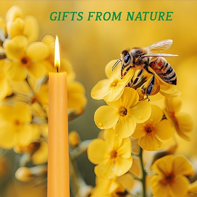 8 inch Beeswax Taper Candles, Natural Pure Bees Wax Candlesticks 6 Pack of 8 Hour Long Burning Time - Unscented, Smokeless and Dripless for Home Decor, Party, Dinner