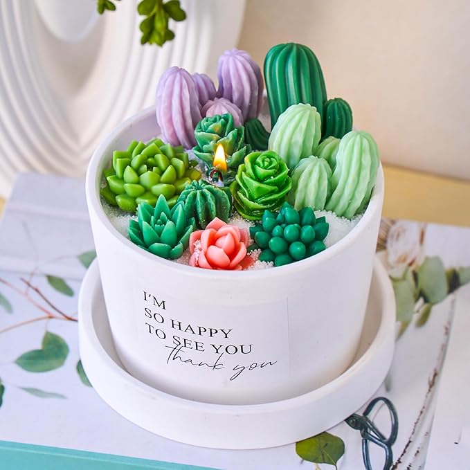 Succulent Silicone Mold 9 Cavities Plants Candle Molds and 4 pcs 3D Succulent Cactus Candle Molds Resin Casting Silicone Molds for Home Decor