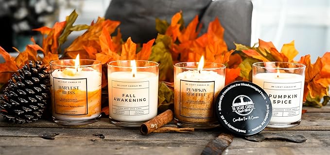 Scented Candles Clearance | Purpose-Driven Soy Candles | Fall Scented Candles for Home | 8oz Long Lasting Candle Non-Toxic | Candle Gift | Be Light Candle RE (Fall Awakening)