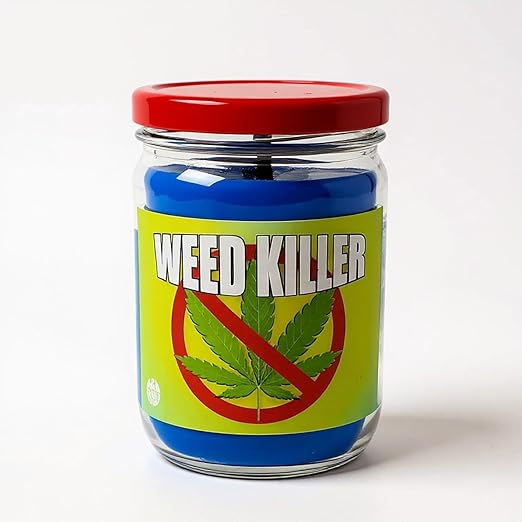 Weed Killer Candle by S&M Candle Factory 12oz All Natural Soy Smoke and Odor Eliminating Candle (Removes Cannabis Weed Smoke Smell) Soy Wax 12oz Candle… n