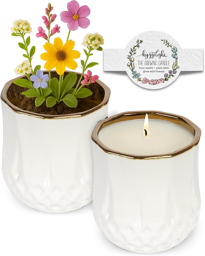 Hyggelight - The Growing Candle, Coffee Scented, 9oz Ceramic Pot, Aromatherapy Candles, 100% Soy, Cream and Espresso Aroma for Home, Astrid
