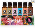 Eternal Essence Oils Sweet Set of 6 Premium Fragrance Oils - Includes Bubble Gum, Orange Creamsicle, Peaches & Cream, Blue Cotton Candy, Oatmeal Cookie Dough, and. Chocolate Scented Oils - 10ML