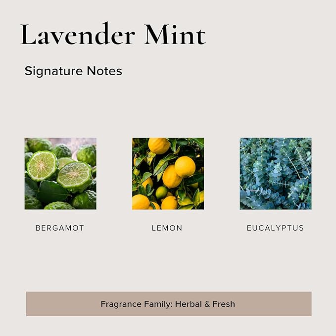 Broken Top Lavender Mint Pure Soy Candle | 9 oz. | Bergamot, Lemon & Eucalyptus 50-Hour Burn Time. Natural Cotton Wick, Vegan, No Parabens, No Phthalates