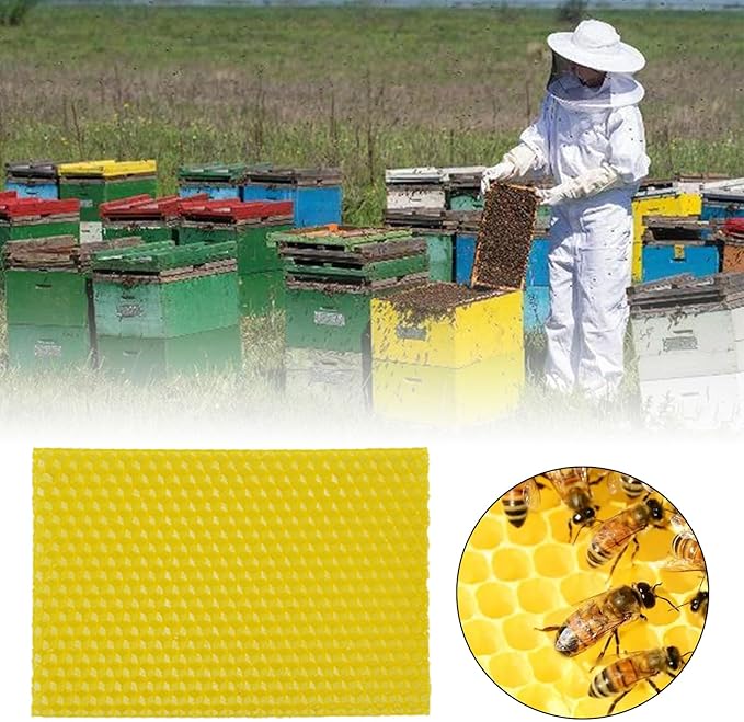 20Pcs Beeswax DIY Candle Making Kit, Natural Beeswax Honeycomb Sheets for Candle Making Beekeeping, Beehive Wax Foundation Sheets Candle Rolling Kit for Beeswax Sheets & Decorations (132 x 90 mm)