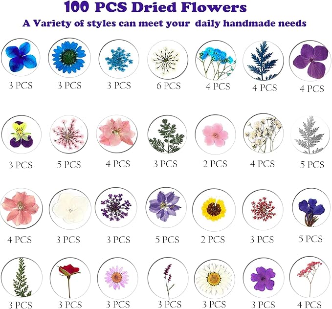 Dried Flowers Dried Flower Real Dried Pressed Flowers for Jewelry Candle Card Making DIY Resin Ornaments Nail Art Flowers Decorations