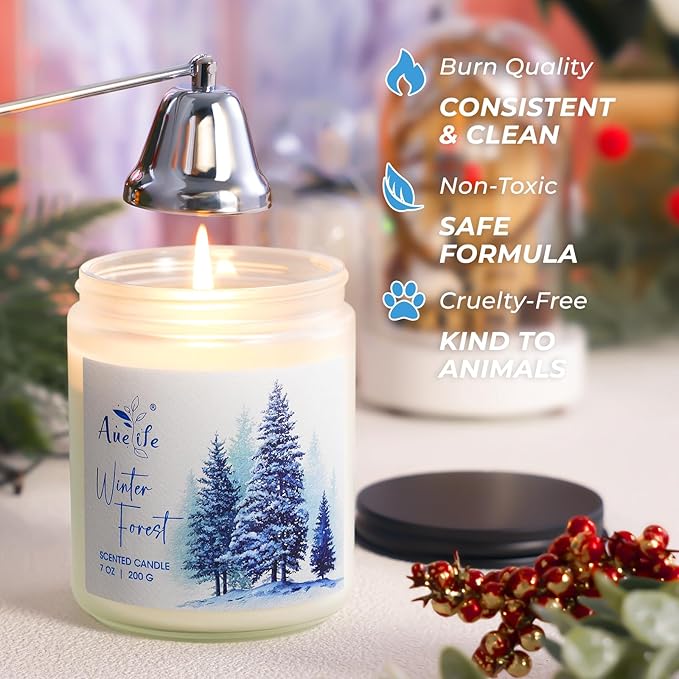 Hello Winter Candle | Fresh Citrus & Jasmine Scented Soy Candles - Winter Aromatherapy Candles Gift for Women & Men, Cozy Holiday Home Décor Candle, Long Lasting Clean Burn