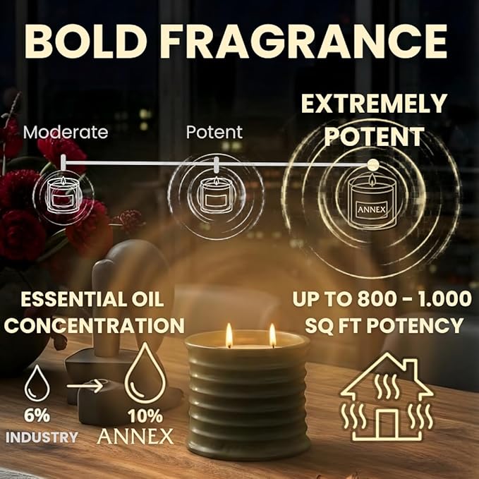 Annex Oud and Agarwood Luxury Scented Candle - 8oz Handmade Ceramic Jar Candle - 50hr Clean Burn, 100% Non-Toxic Soy Wax, Aesthetic Home Decor Winter Gift for Men and Women - Sandalwood & Amber