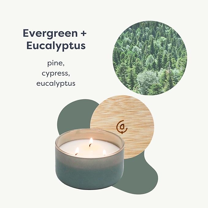 Evergreen & Eucalyptus 3 Wick Scented Candle