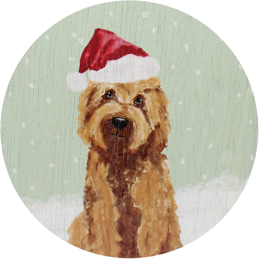 Sand + Paws Scented Candle - Winter Pine - Additional Scents and Sizes –Luxurious Air Freshening Jar Candles Neutralize pet Odors and Enhance Home décor – 100% Cotton Lead-Free Wicks - 12 oz