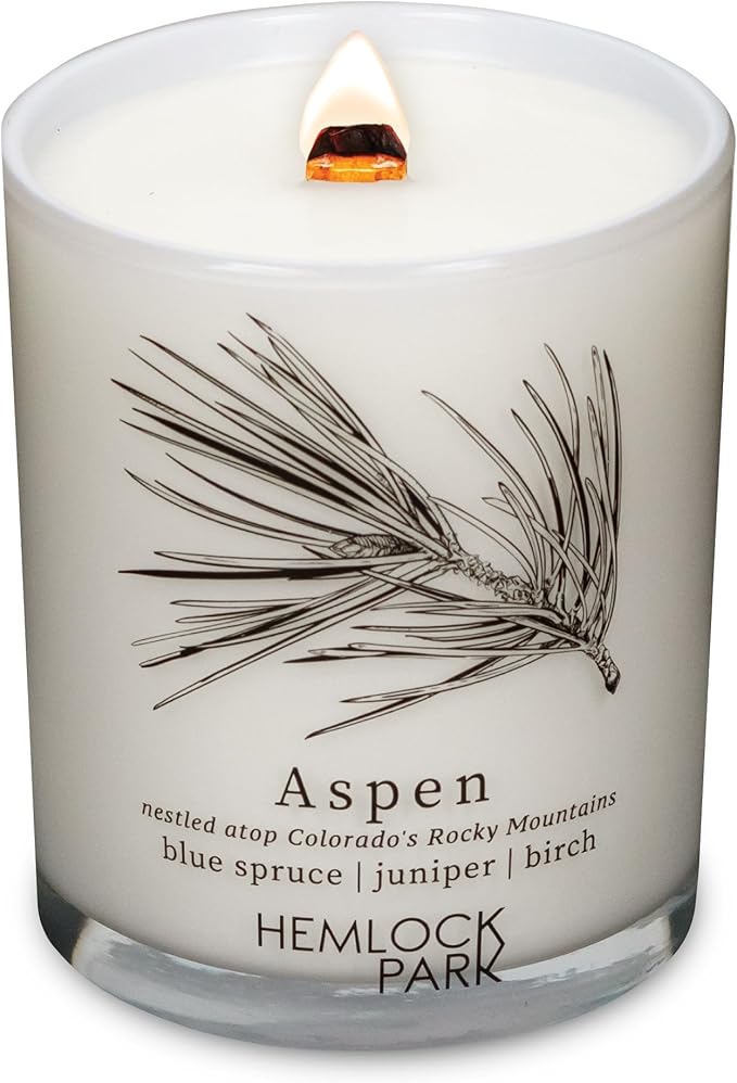Hemlock Park Travel Inspired Passport Crackling Wood Wick Candle Handcrafted with Natural Plant-Based Coconut Wax (Standard 7.2 oz, Aspen | Blue Spruce, Juniper, Birch)