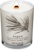 Hemlock Park Travel Inspired Passport Crackling Wood Wick Candle Handcrafted with Natural Plant-Based Coconut Wax (Standard 7.2 oz, Aspen | Blue Spruce, Juniper, Birch)