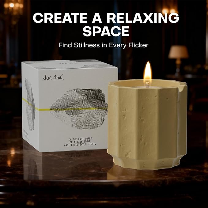 Scented Candles Set for Home, Natural Soy Wax Candle Gift, Non-Toxic Cement Jar Candles, Luxury Aromatherapy for Stress Relief, Highly Scented, Gifts for Women and Men (Tam Dao)