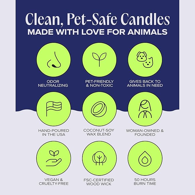 Companion Candles Nostalgia Pet-Friendly Scented Candle – Spicy Amber & Soft Floral Fragrance, Coconut Soy Wax with Wooden Wick, Approx. 50-Hour Burn Time, Made in USA, 11.8 oz