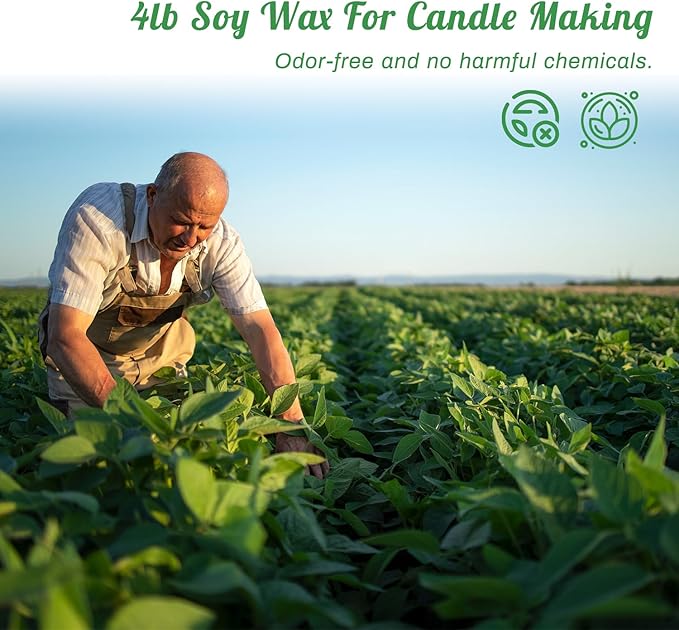 Handnatur Pro Soy Wax Melt Kit with Digital Wax Melting Pot, 4lb SOYA Wax Melter, Soy Candle Maker Set with Candle Heater, Wicks, Wick Holders, Wick Stickers