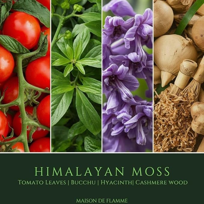 Smoke Odor Eliminating Candle – Himalayan Moss Soy Wax Candle for Kitchen, Apartment & Home Smells, Long Lasting Odor Neutralizing Scented Candle, 150g / 5.3 oz – Maison De Flamme