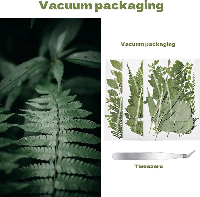 CONVELIFE 63 Pcs Dried Flowers for Resin, 21 Styles Pressed Leaves , Natural Dry Leaves for Pressed Leaf Art Craft DIY Embellishment Decorations