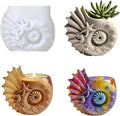 Conch Starfish Resin Molds Silicone Molds - Reusable Classic Design for Casting with Epoxy Resin, Concrete, and Plaster to Create DIY Home Decor, Cosmetic Organizers, and Plant Pots