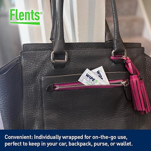 Flents Lens Wipes, Wipe 'N Clear Basic, 200 Count, Pre-Moistened, Streak-Free, Safe for Glasses, Sunglasses, Gentle Cleaning, Clear Vision, Streak-Free, Individually Wrapped for Travel & Convenience