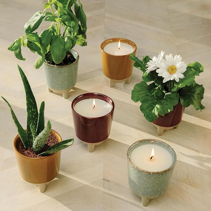 Modern Sprout Glow and Grow Kit - 2 in 1 Scented Candle That Grows into a Basil Plant - 12 oz Soy Candle with 78 hr Burn time in Glaze Ceramic Vessel - Planter Ideal for Home Decor Aesthetic