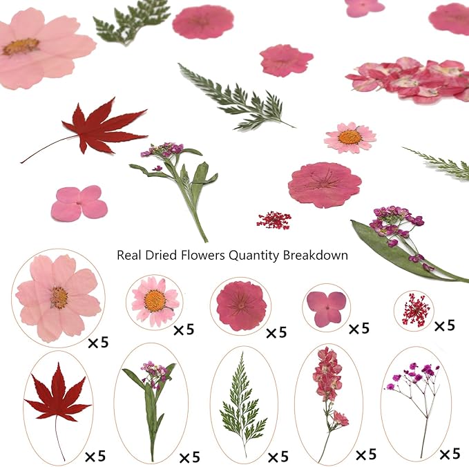 10 Types 50PCS Dried Flowers for Resin & Pressed Flowers Kit -Real Pressed Flowers and Leaves for DIY Art, Crafts, Pressed Flower Frame, Jewelry, Bookmarks ect- Perfect for Unique Gifts and Home Decor