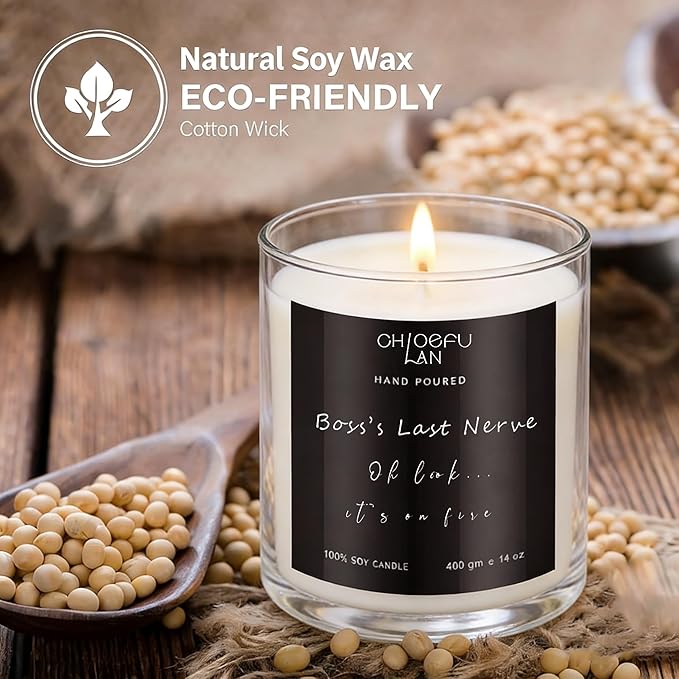 Chloefu LAN My Last Nerve Candle, Boss Gifts for Women & Men, Office Gift for Coworkers Employee Boss Lady Manager Colleague, Appreciation Inspirational, Lilac Candle 14 Oz