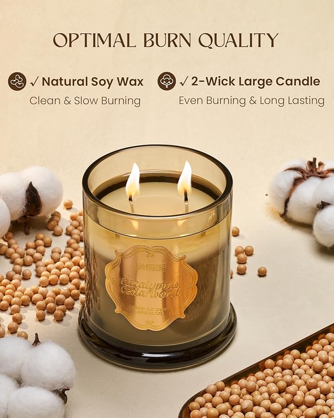 M&SENSE Eucalyptus Cedarwood Soy Candles, 2 Wick 12.7oz Large Jar Candle 75H Long Lasting, Plant-Based Non Toxic Aromatherapy Candle for Stress Relief, Winter Housewarming New Year Gifts