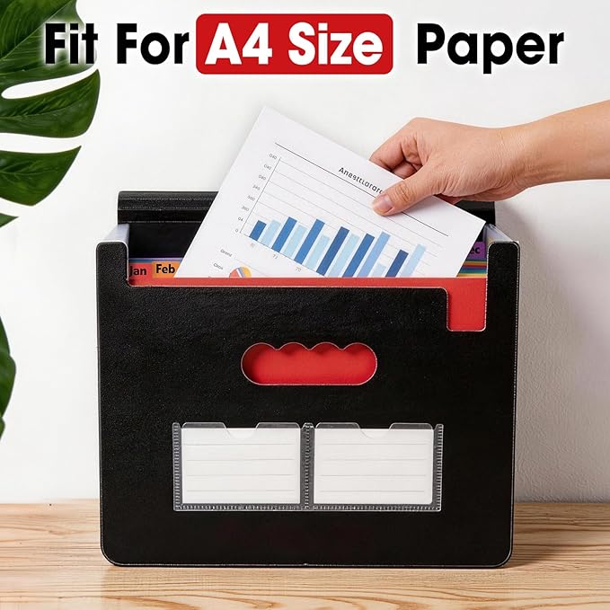 2 Pack Accordion File Organizer, 13 Pockets Expanding File Folder, Portable Paper Receipt Bill Organizer, Letter A4 Size Document Organizer with Colorful tabs, School Office Supplies
