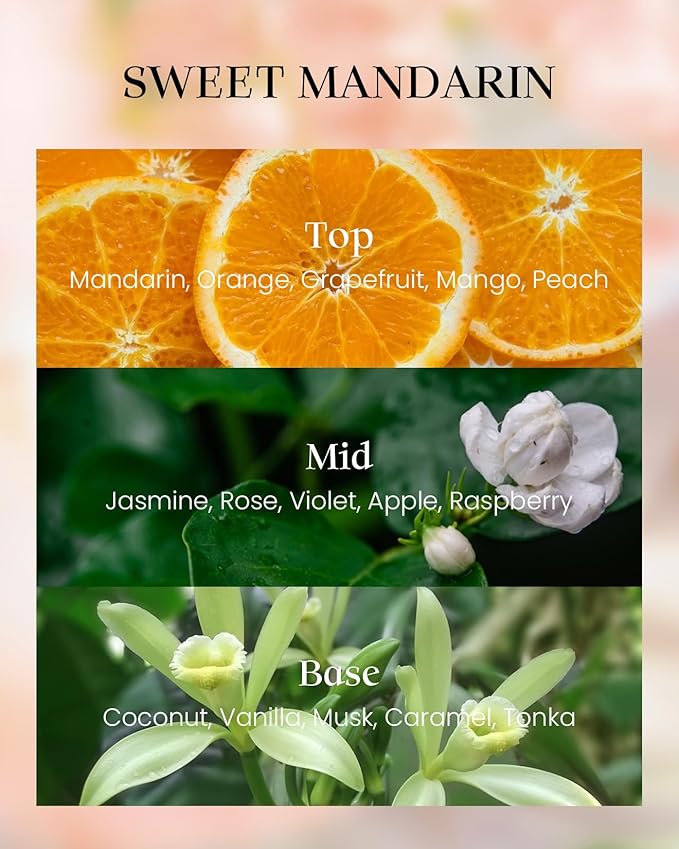 M&SENSE Sweet Mandarian Scented Vegan Soy Candles, No Toxin Refreshing Fragrance, 8.1oz 42-Hour Long Burning, Stress Relief Summer Home Candles, Housewarming Gift for Men & Women