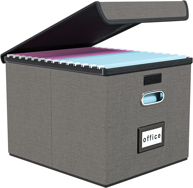 Huolewa File Organizer Box with Lid, Collapsible File Folder Organizer for Office Document Storage, Filing Box with Plastic Slide for Letter Size Hanging File Folders(1 Pack, Smoky Grey)