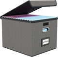 Huolewa File Organizer Box with Lid, Collapsible File Folder Organizer for Office Document Storage, Filing Box with Plastic Slide for Letter Size Hanging File Folders(1 Pack, Smoky Grey)