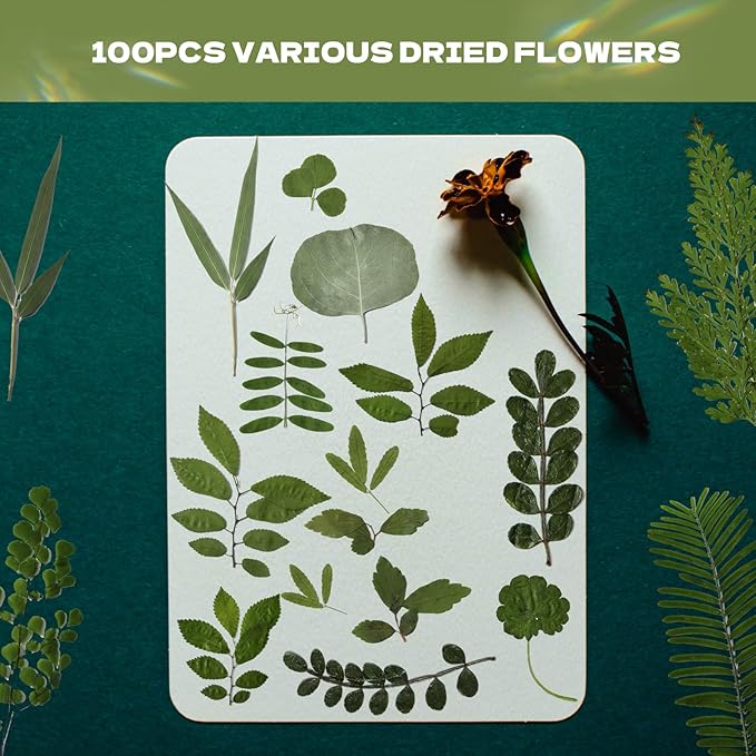 CONVELIFE 63 Pcs Dried Flowers for Resin, 21 Styles Pressed Leaves , Natural Dry Leaves for Pressed Leaf Art Craft DIY Embellishment Decorations
