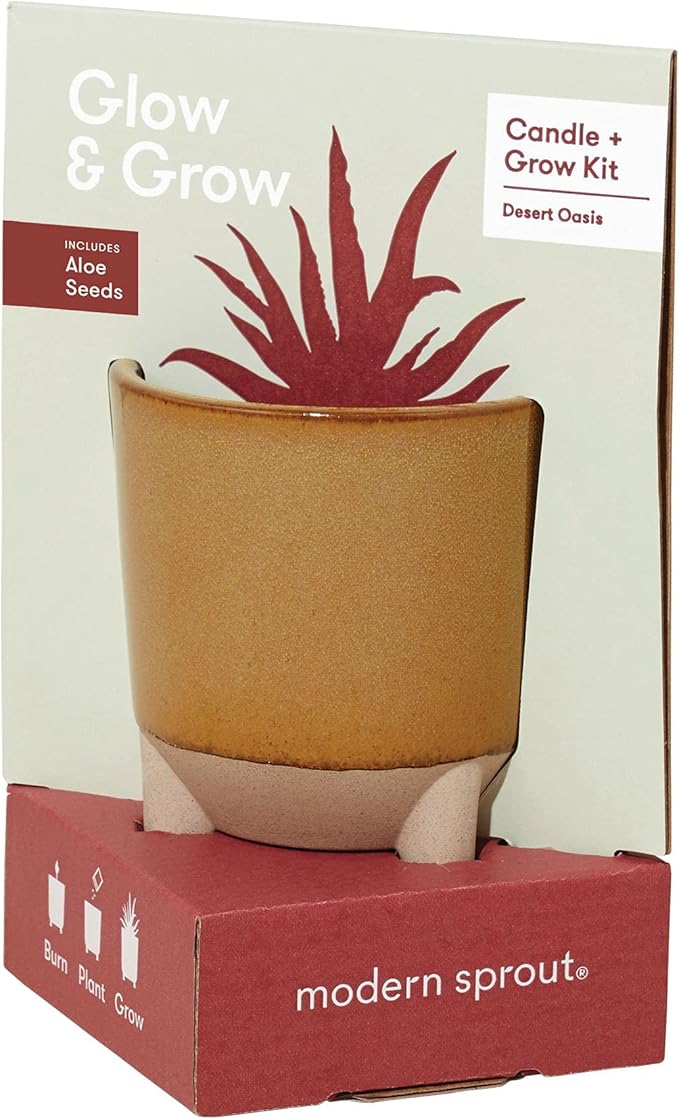 Modern Sprout Glow and Grow Kit - 2 in 1 Scented Candle That Grows into a Aloe Plant - 12 oz Soy Candle with 78 hr Burn time in Glaze Ceramic Vessel - Planter Ideal for Home Decor Aesthetic