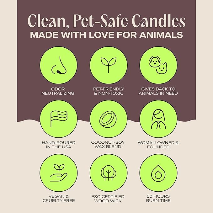 Companion Candles Celebrate the Season Pet-Friendly Scented Candle – Cookie Butter, Brown Sugar & Vanilla Fragrance - Coconut Soy Wax Candle with Wooden Wick, 50-Hour Burn Time, Made in USA, 11.8 oz
