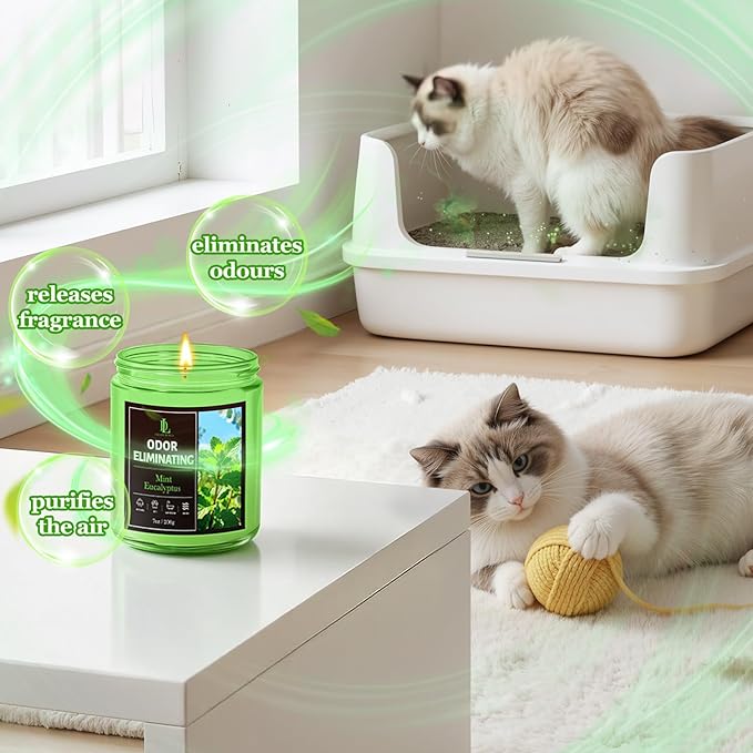 Mint Eucalyptus Odor Eliminating Highly Fragranced Candle, Eliminates 95% of Bathroom & Pet Odors Quickly, Air Freshing Scented Candles, Soy Candle Gifts for Women Men, 7oz