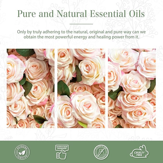 PHATOIL 3.38FL.OZ Rose Essential Oil with Glass Dropper, for Aromatherapy Diffusers, Humidifiers, Great for DIY Candle and Soap Making, Huge 100ML Bottle
