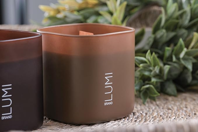Set of 3 Premium Scented Soy Candles Gift Set | Dusk to Dawn Collection - Canadian Cedar, Black Amber & Sandalwood | Crackling Wood Wick | Luxury Candles for Relaxation, Home Décor, Gifts | 9.8oz Each