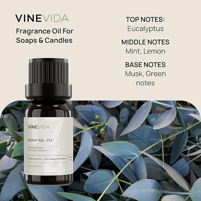VINEVIDA [10 ml] Cooling Eucalyptus; Fragrance Oil for Candle Making and Soap Making - Premium Candle Scents for Soy Candles