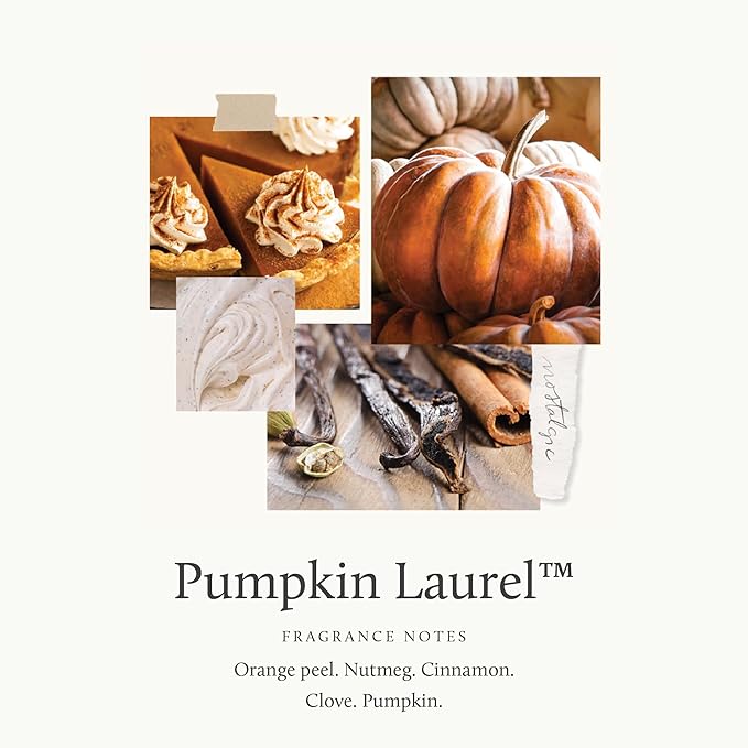 Thymes Scented Candles for Home Decor - Luxury Home Fragrance Gifts for Women & Men - Fall Candles with Creamy Pumpkin, Nutmeg, & Cinnamon - Burnt Orange (Pumpkin Laurel, 6.5 oz)
