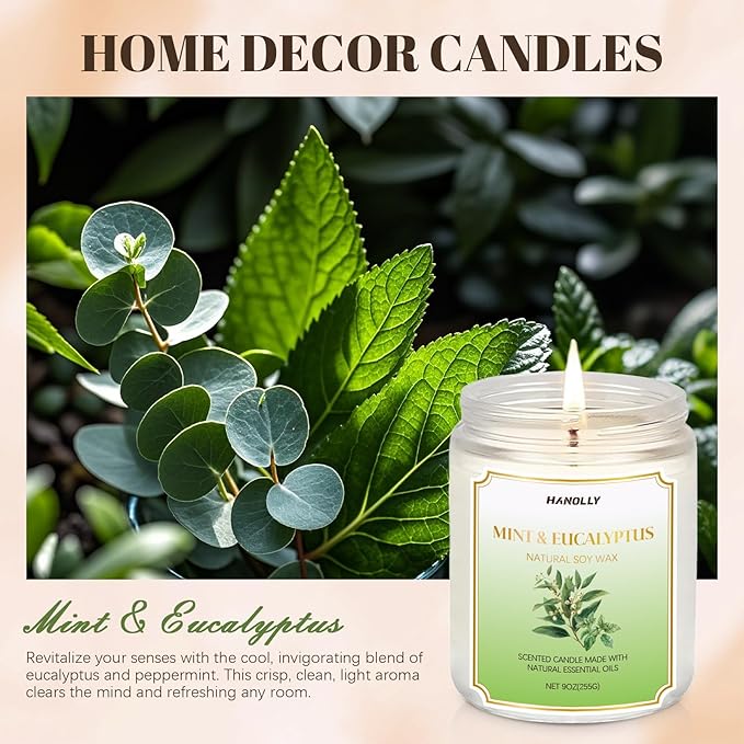 Mint & Eucalyptus Candle, 9 oz Scented Candles for Home Soy Candle Wax, Aromatherapy Candles for Women Men, Birthday Christmas Gifts, Perfect for Creating a Relaxing Ambiance