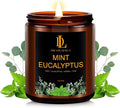 Mint Eucalyptus Candles, Mint Eucalyptus Scented Candle, Mother's Day Candle Gifts for Women, Soy Candles for Home Scented, 7oz 50 Hours Burn