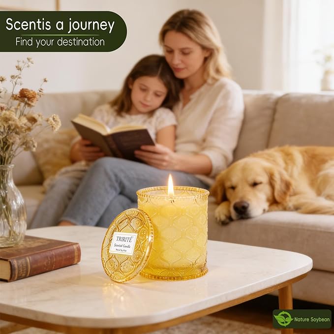 Sandalwood Fig Amber Scented Candles for Mother's Day, Natural Soy Wax Jar Candle in Glass 45 Hours Clean Burn, Gift-Ready for Hosts & Gatherings Elegant Home Décor