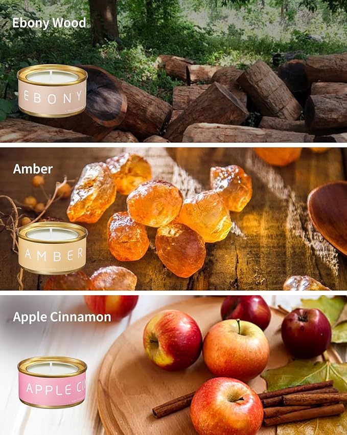 Scented Candles Gift Set, Natural Beeswax Aromatherapy Candles for Valentine's Day, Birthday, Christmas, Holiday Gift Ideas for Women, Small Portable Tin Travel, 6-Pack Variety Luxury Home Scents