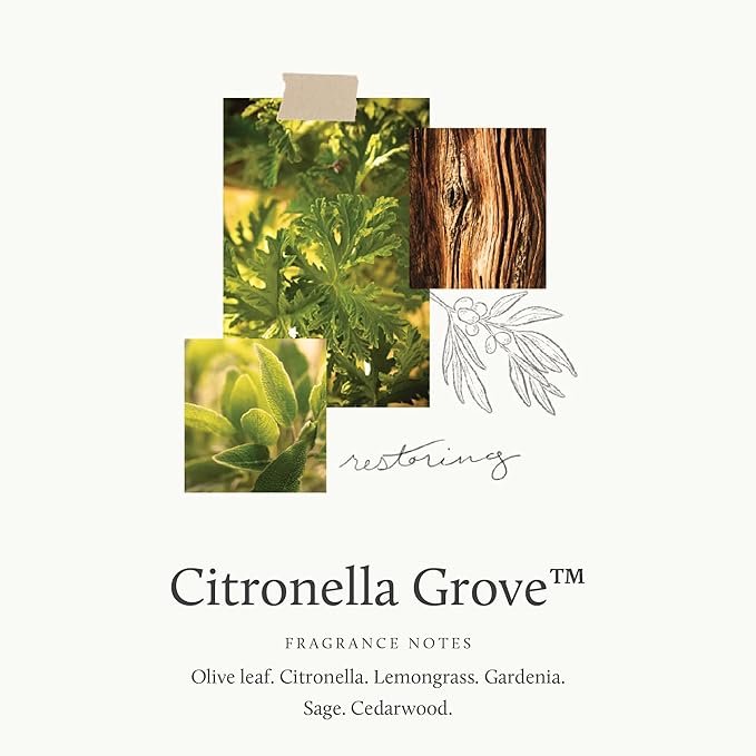 Thymes Scented Candles for Women & Men – Tin with Lid – Luxury Home Decor – Citronella Candles with Notes of Olive Leaf, Lemongrass, & Gardenia – Outdoor Decor (Citronella Grove, 6.5 oz)