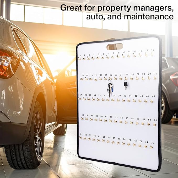 SSWBasics Key Board with Self-Closing Tabs - 75 Hooks - 24?W x 30 1/2?L - Key Rack Wall