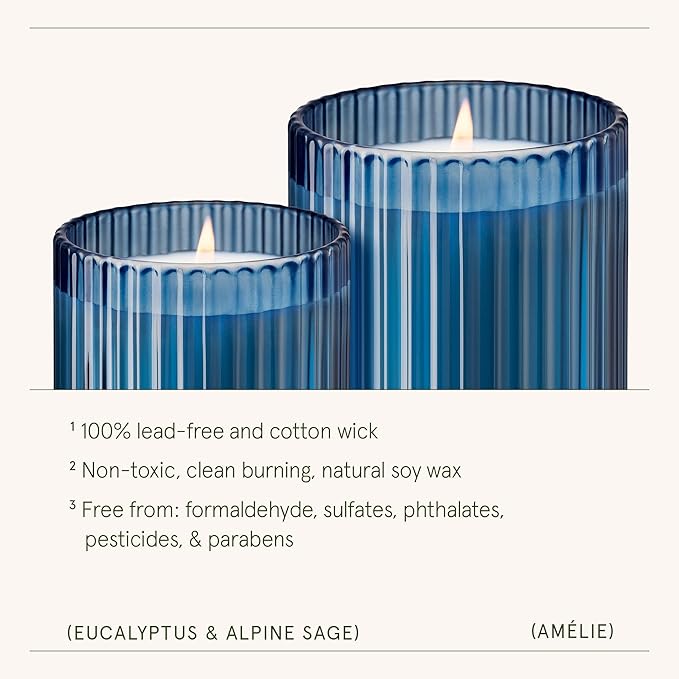 LA JOLIE MUSE Eucalyptus & Rosemary Scented Candle - Aromatherapy Candle for Relaxation, Natural Soy Wax, Glass Jar Candles for Gift and Home Decor, 80 Hours Long Burning, 12.3oz