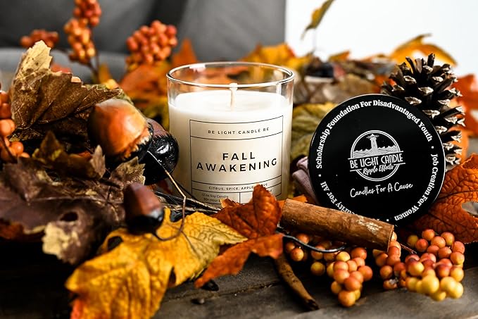 Scented Candles Clearance | Purpose-Driven Soy Candles | Fall Scented Candles for Home | 8oz Long Lasting Candle Non-Toxic | Candle Gift | Be Light Candle RE (Fall Awakening)