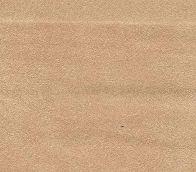 Micro/Passion Suede Fabric Warm Colors 58" Wide Sold by The Yard (58" W Continuous Yards/Seller Shipped, Parchment)